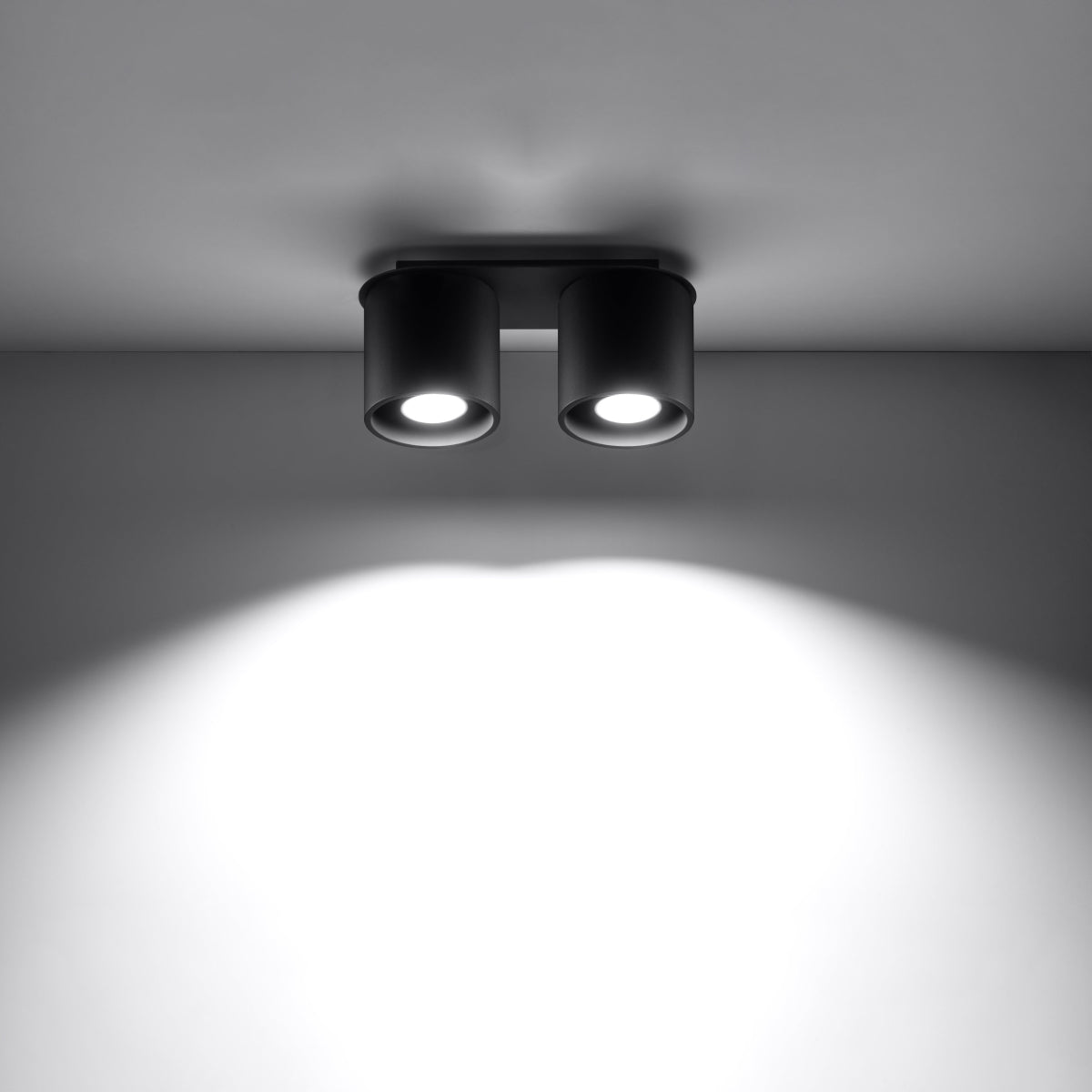 Plafondlamp ORBIS 2 zwart