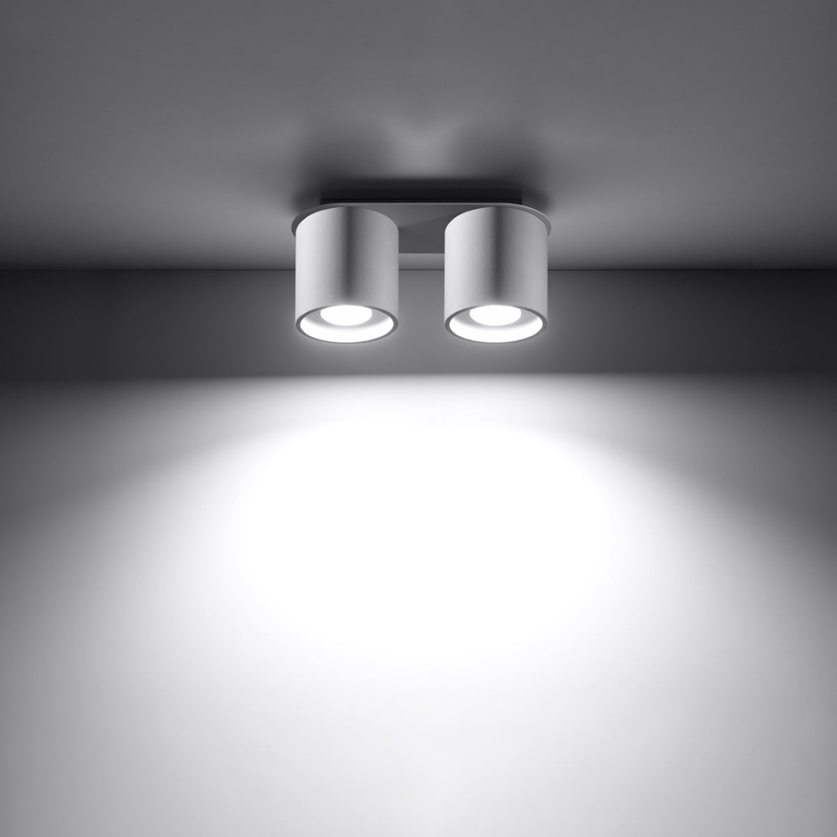 Plafondlamp ORBIS 2 wit