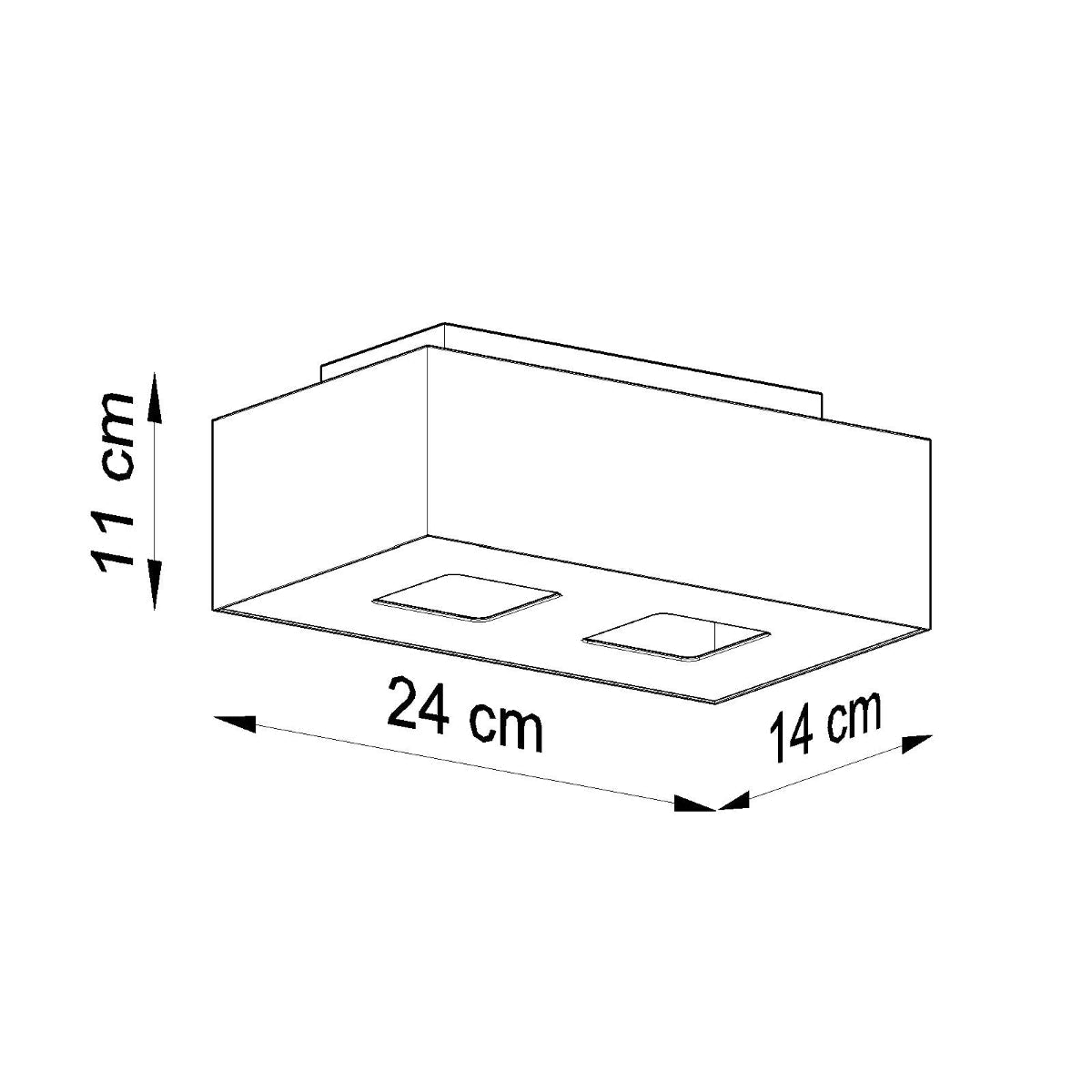 Plafondlamp MONO 2 zwart