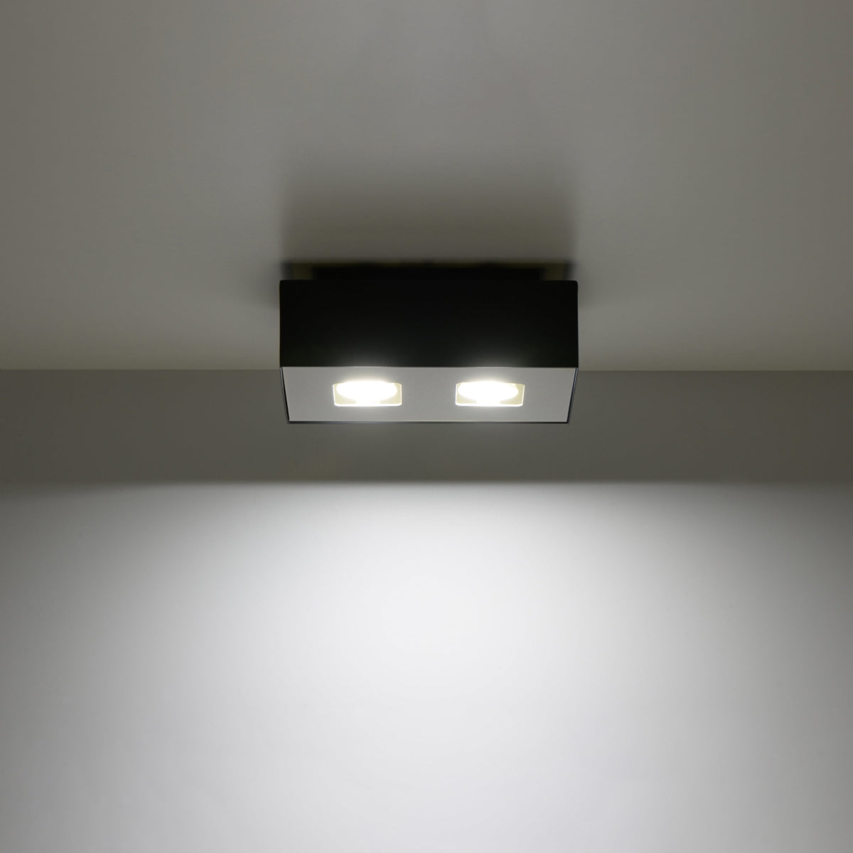 Plafondlamp MONO 2 zwart