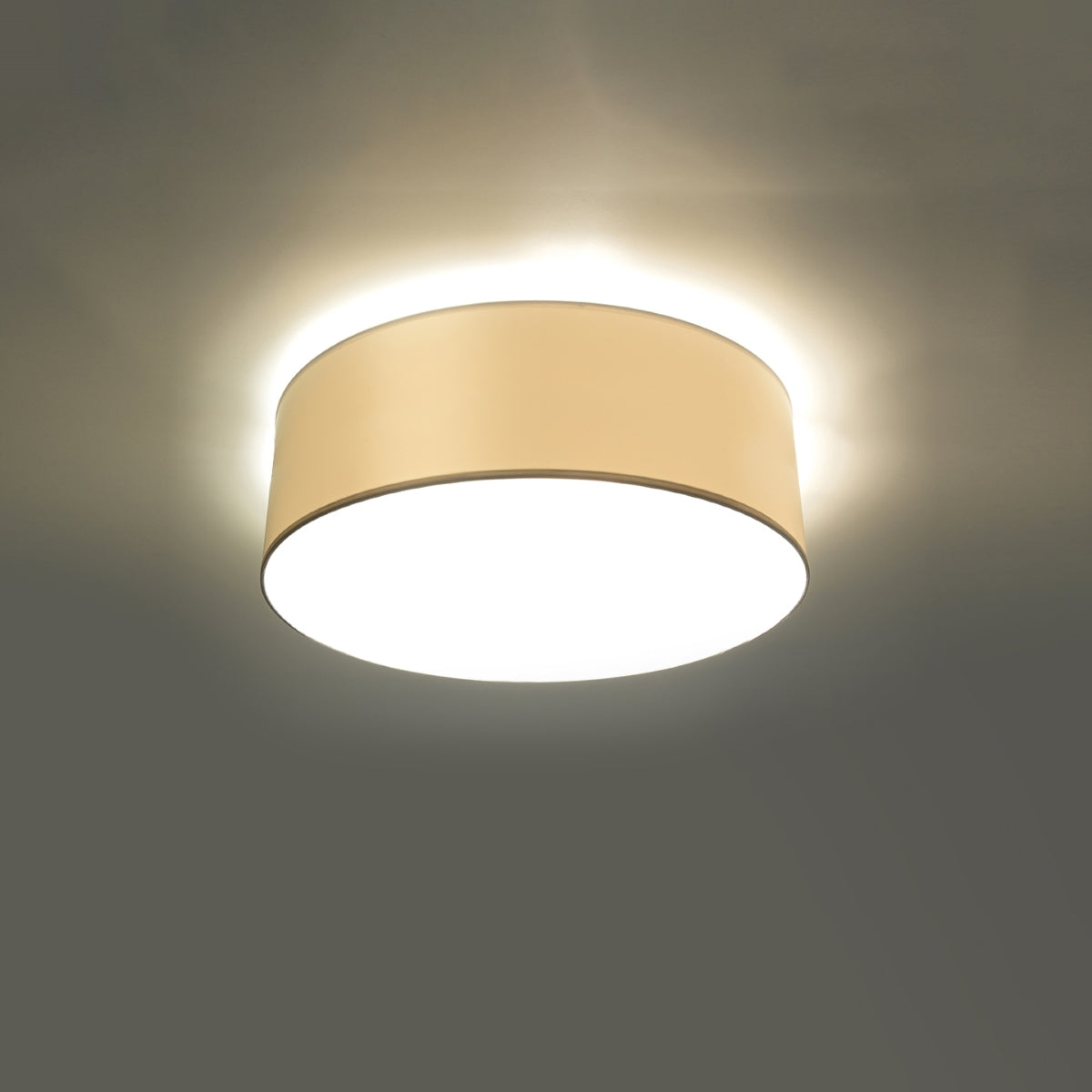 Plafondlamp ARENA wit