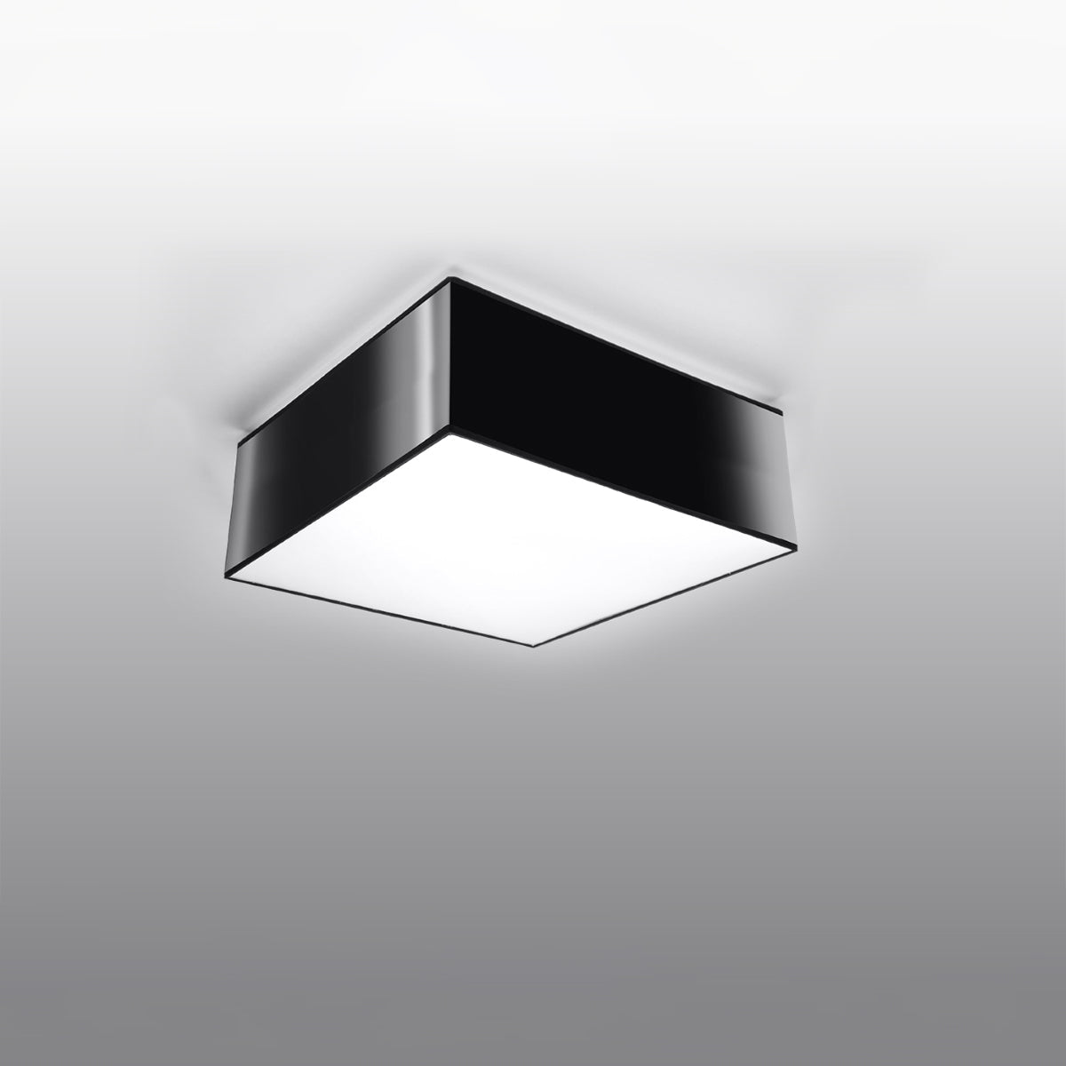 Plafondlamp HORUS zwart
