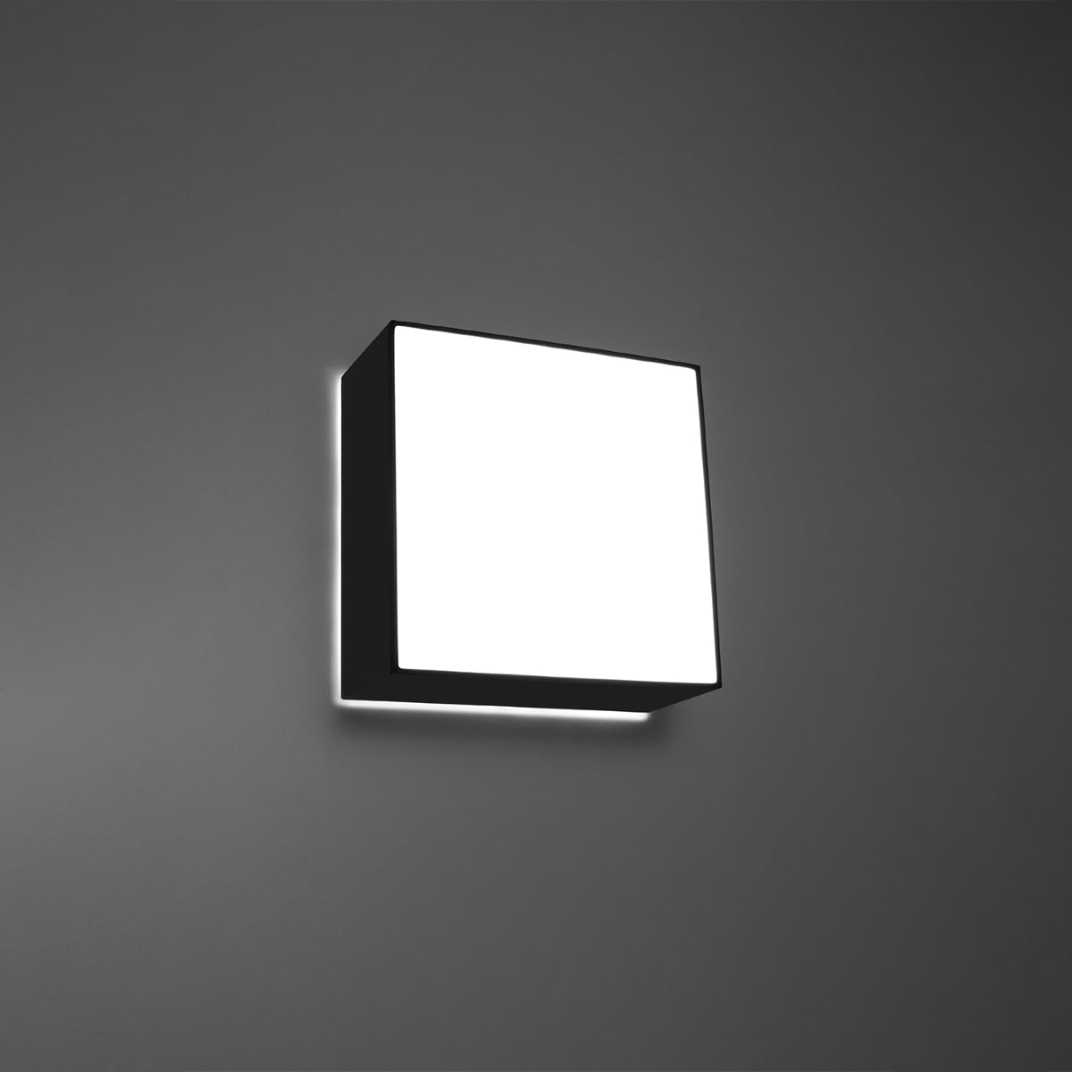 Plafondlamp HORUS zwart