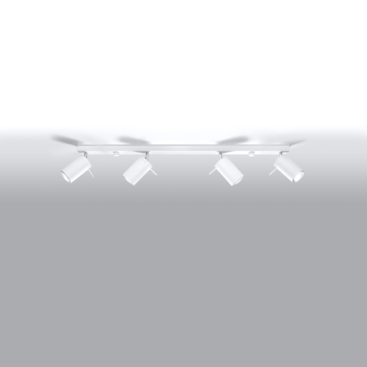 Plafondlamp RING 4L wit