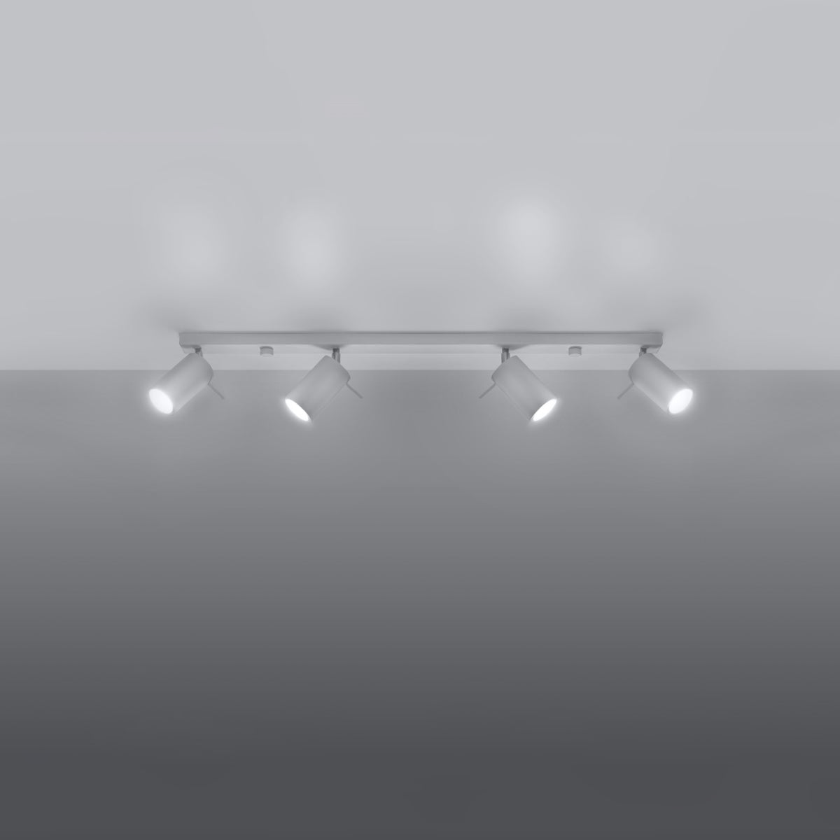 Plafondlamp RING 4L wit