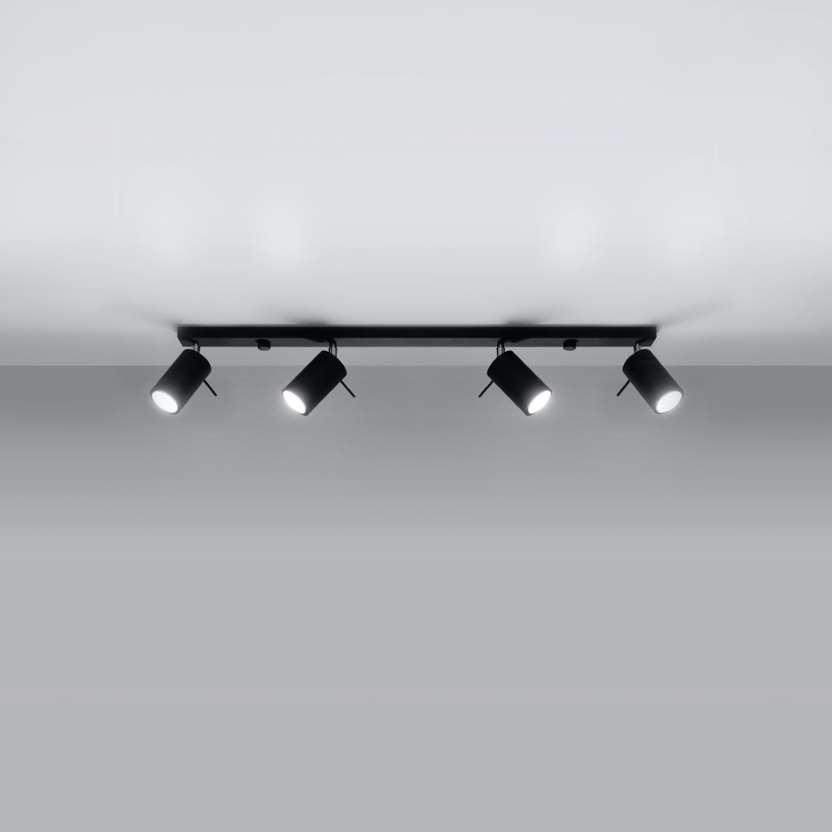 Plafondlamp RING 4L zwart