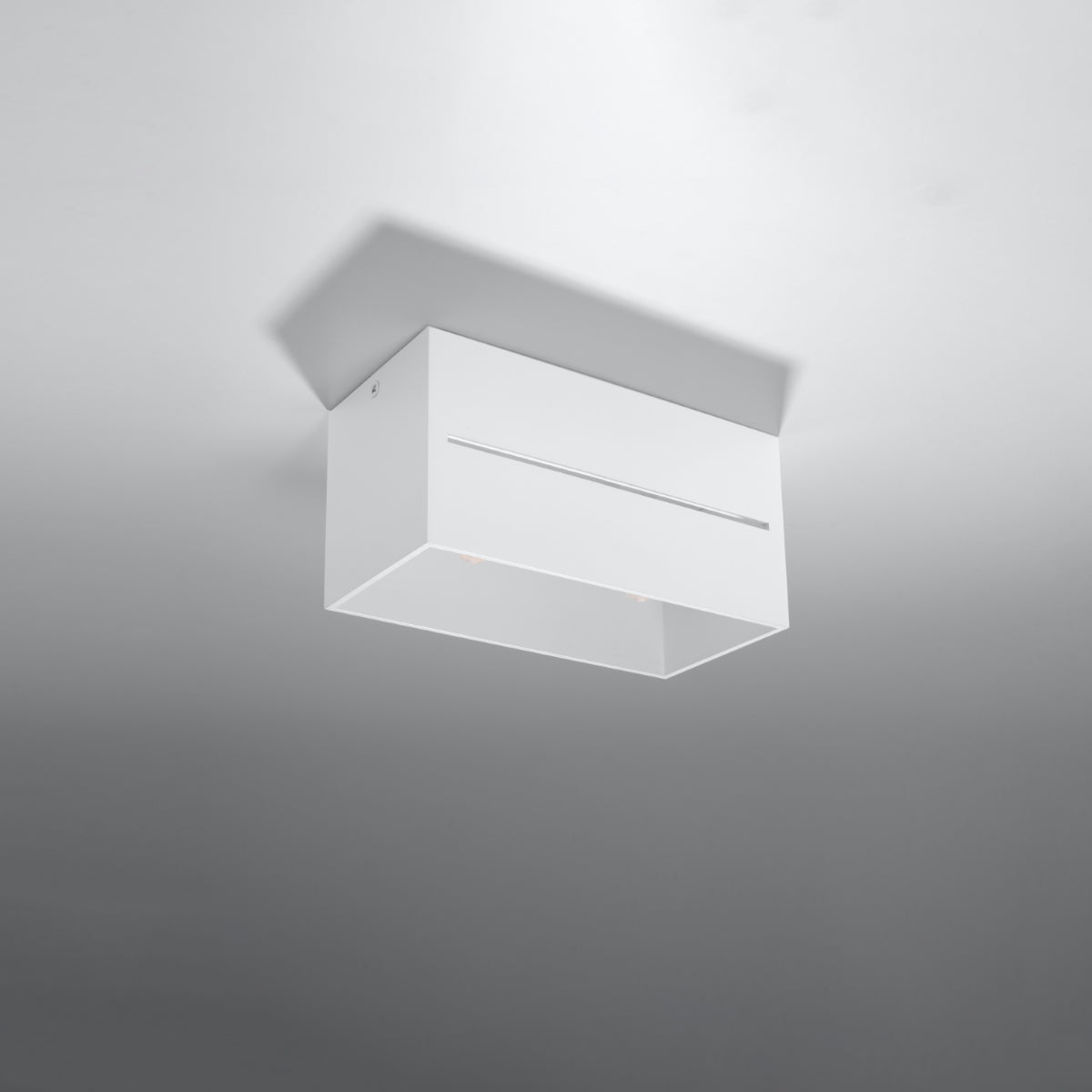 Plafondlamp LOBO 2 wit