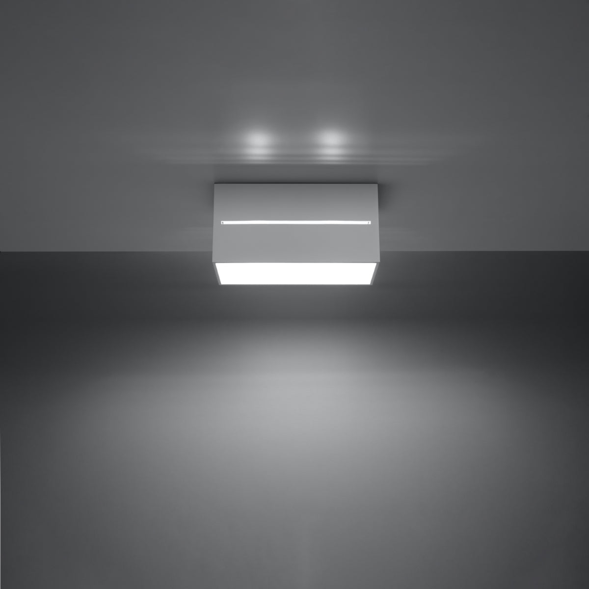 Plafondlamp LOBO 2 wit