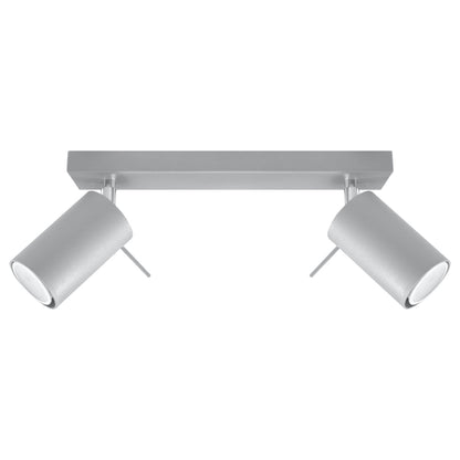 Plafondlamp RING 2 grijs