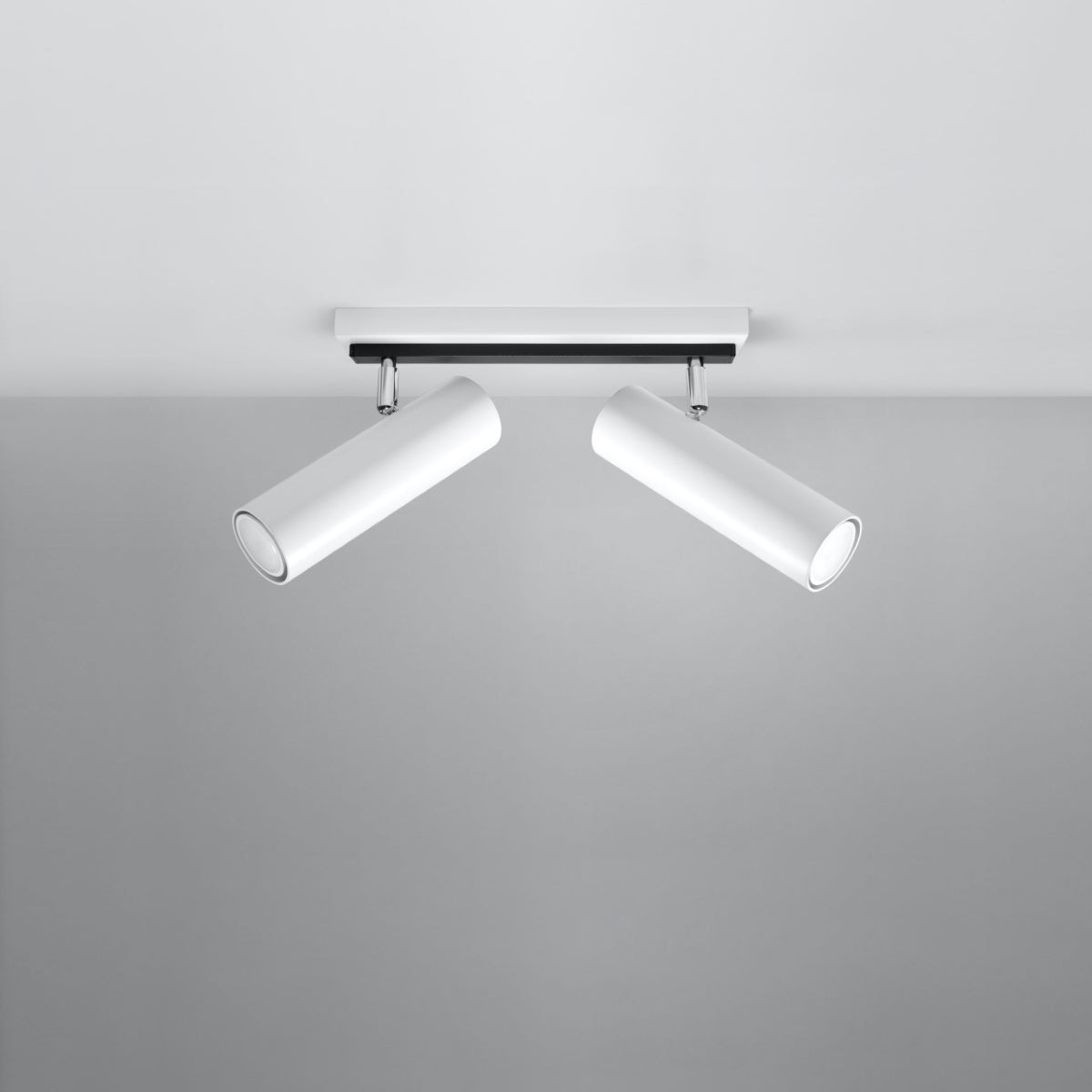 Plafondlamp DIREZIONE 2 wit