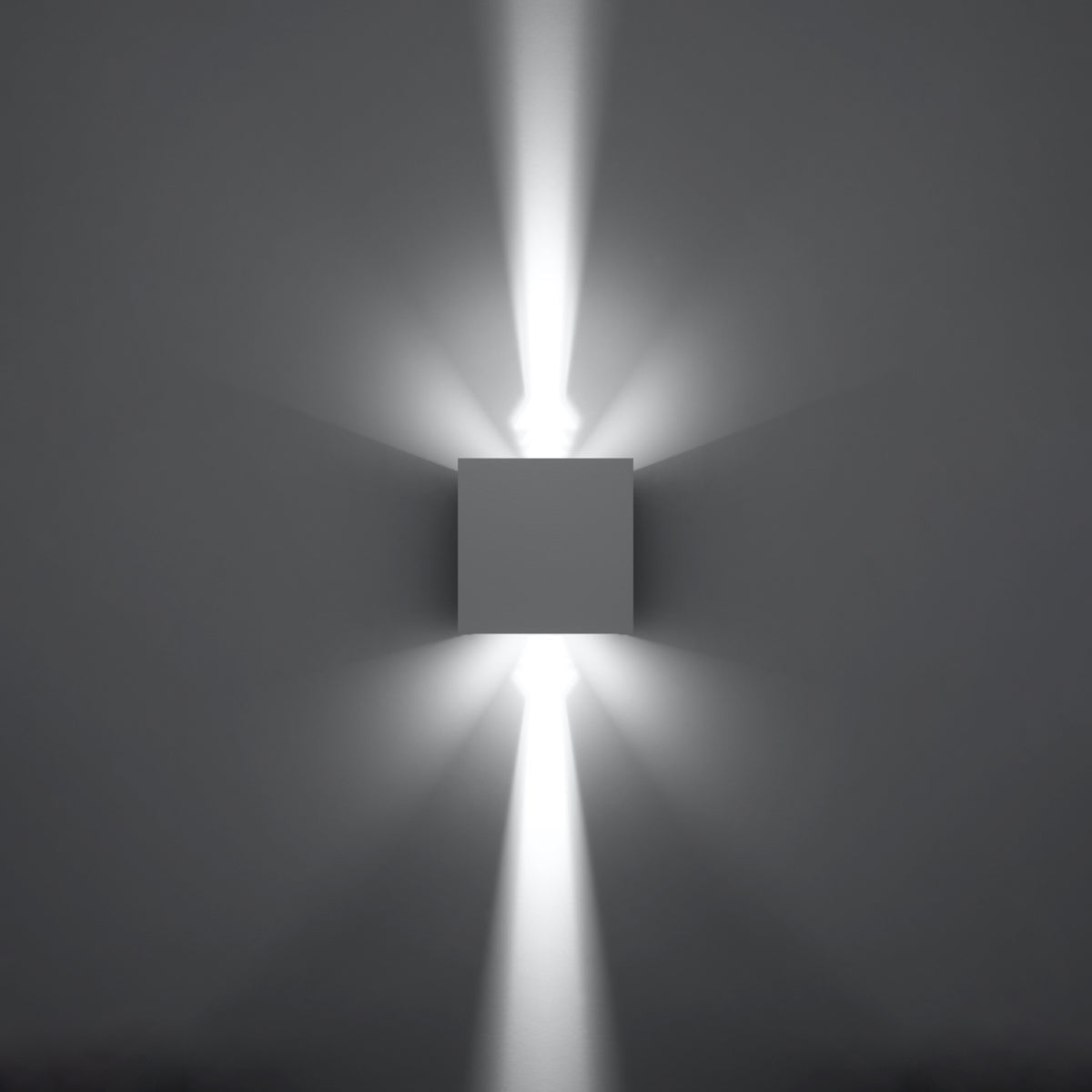 Wandlamp LUCA wit LED IP54