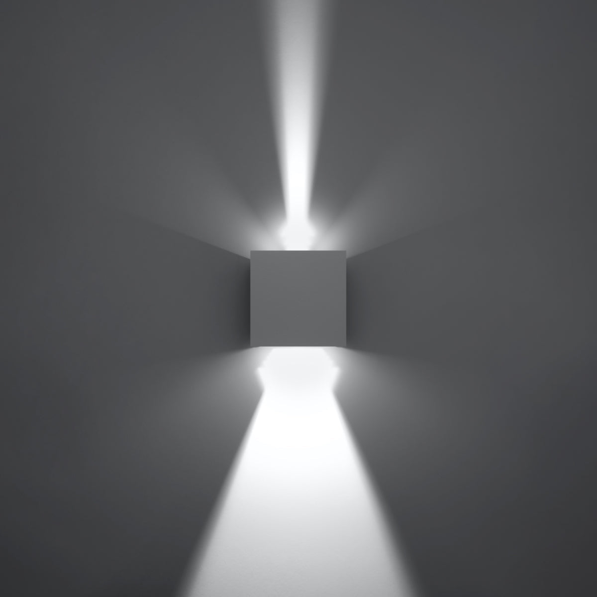 Wandlamp LUCA wit LED IP54