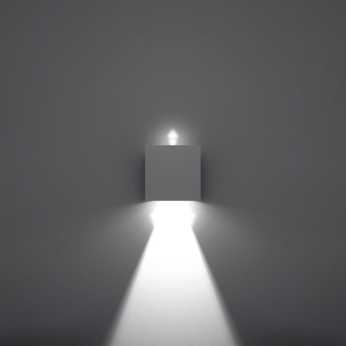 Wandlamp LUCA wit LED IP54
