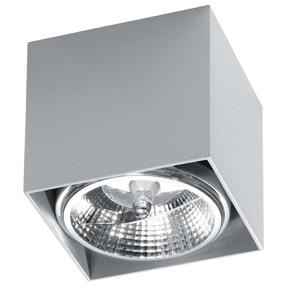 Plafondlamp BLAKE grijs