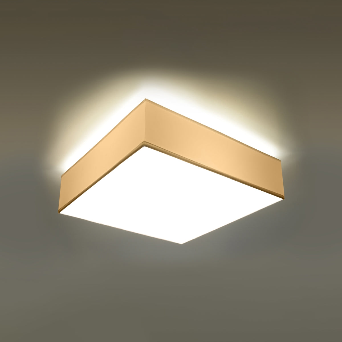 Plafondlamp HORUS 45 wit