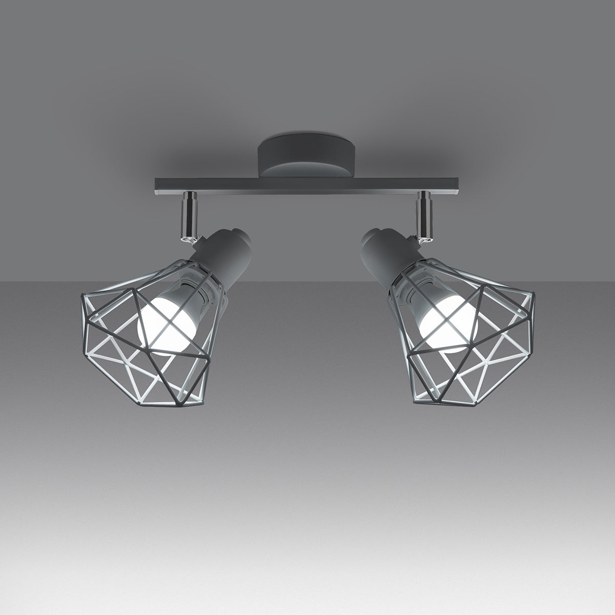 Plafondlamp ARTEMIS 2 wit