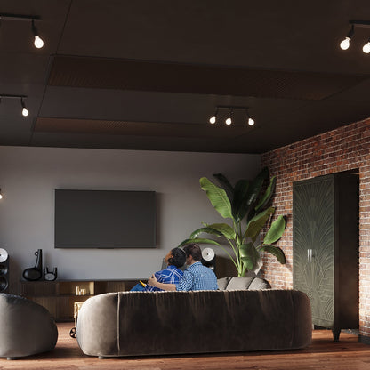 Plafondlamp FORNES 2 zwart