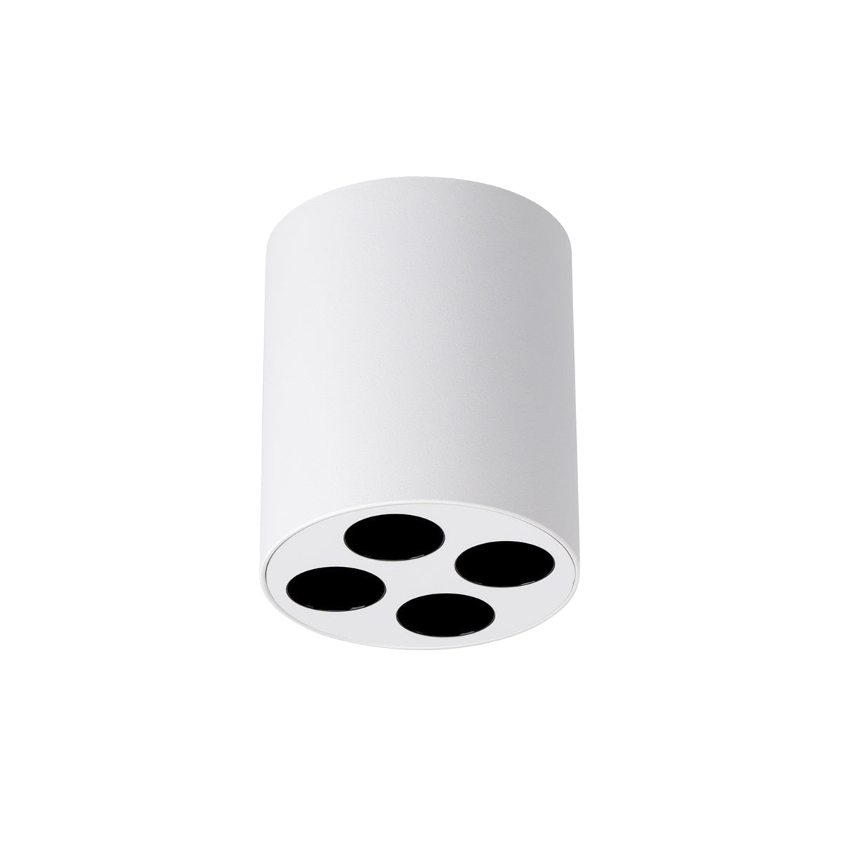 Plafondlamp ZOE wit LED