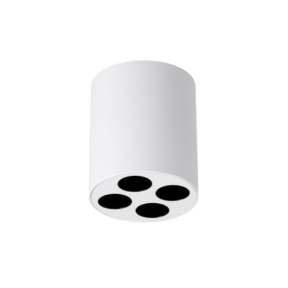 Plafondlamp ZOE wit LED