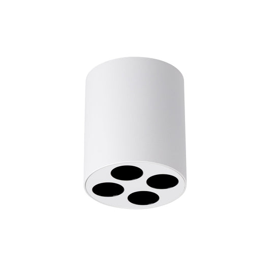 Plafondlamp ZOE wit LED