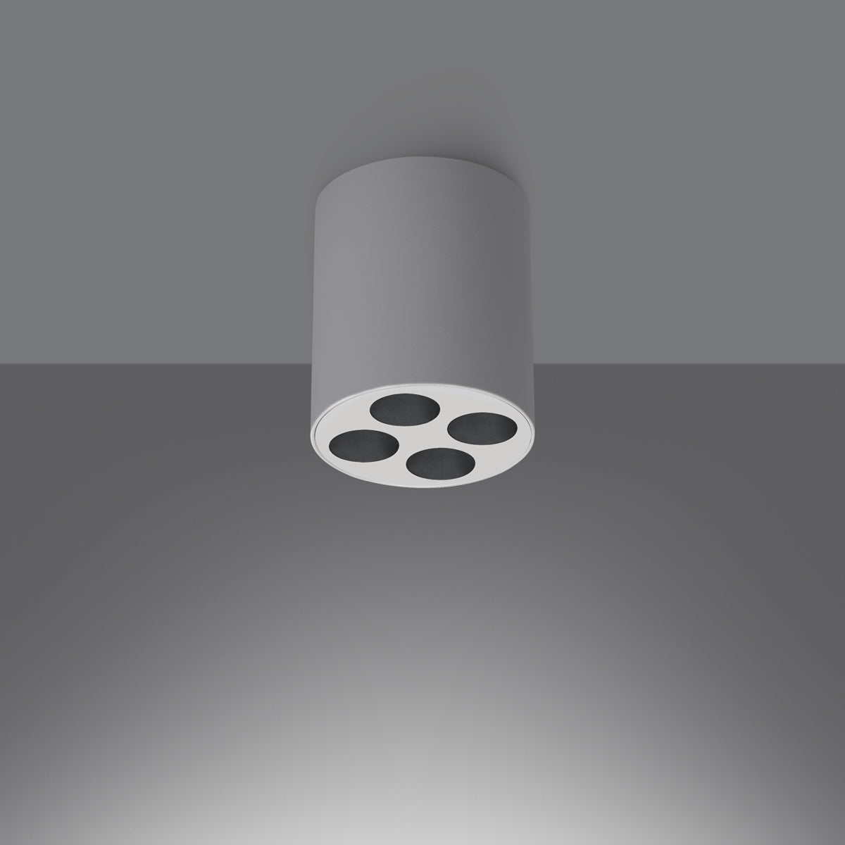 Plafondlamp ZOE wit LED