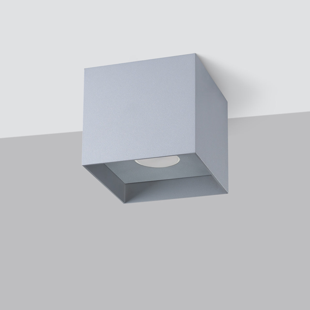 Industrieële Plafondlamp HATI grijs