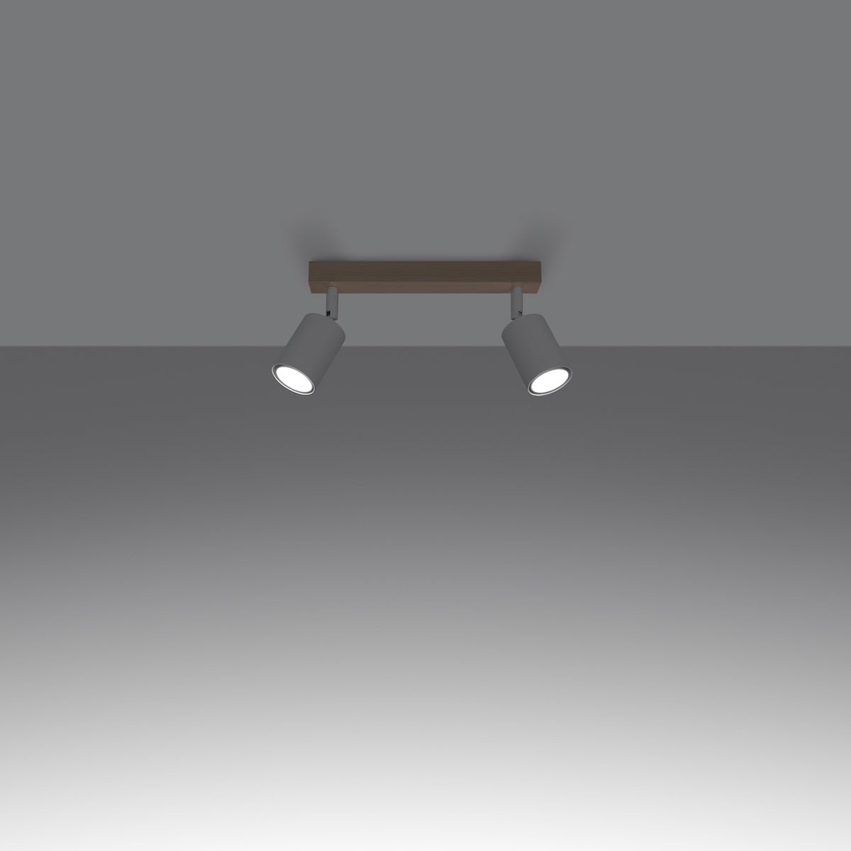 Plafondlamp VERDO 2 wit