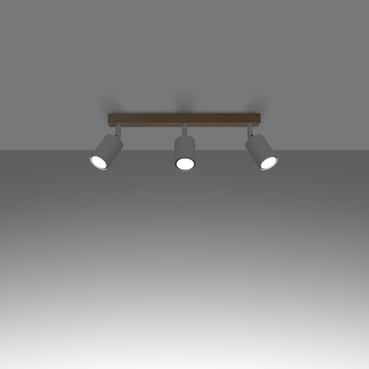 Plafondlamp VERDO 3L wit