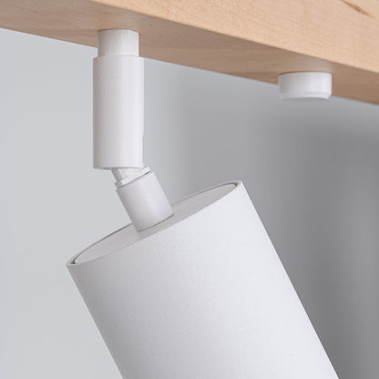 Plafondlamp VERDO 4 wit