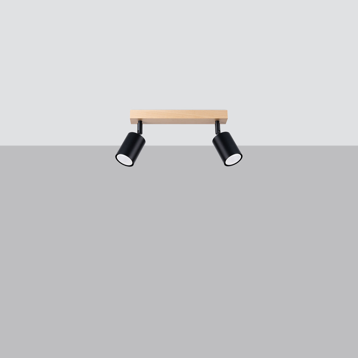 Plafondlamp VERDO 2 zwart