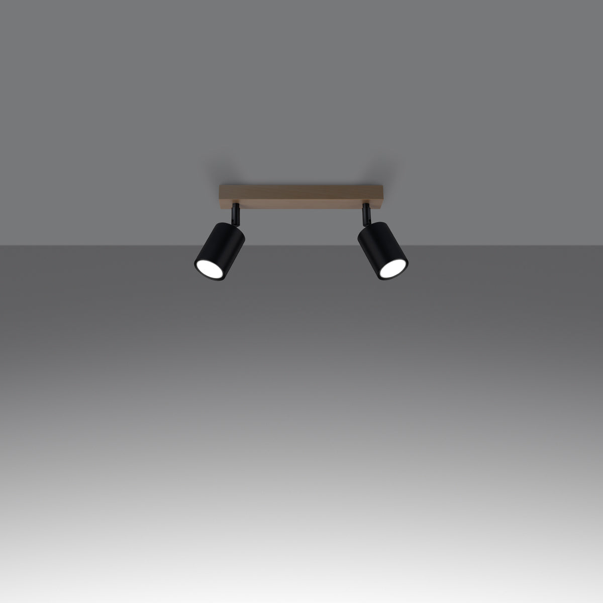 Plafondlamp VERDO 2 zwart