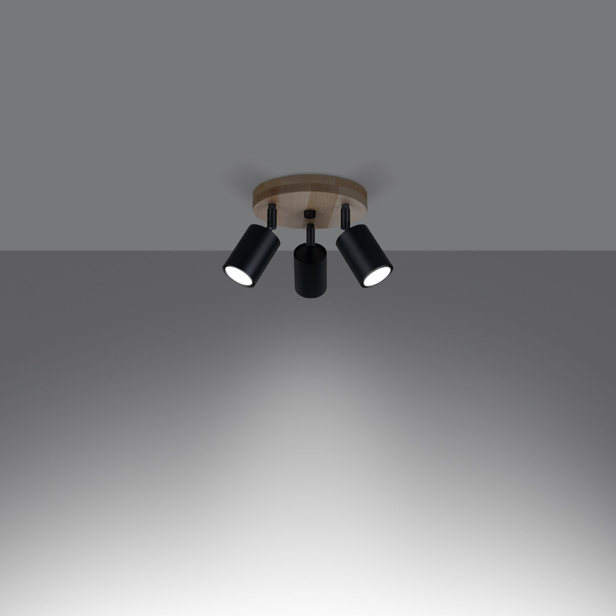 Plafondlamp VERDO 3P zwart