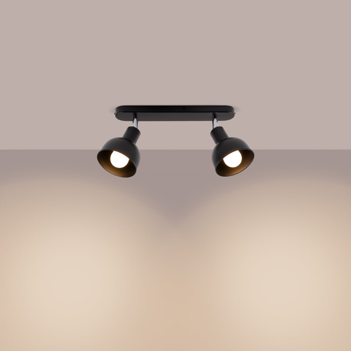 Plafondlamp ELBA 2 zwart