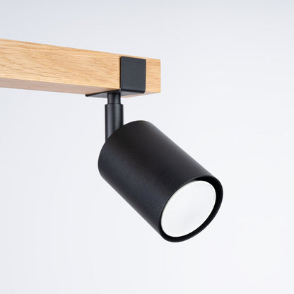 Plafondlamp FAGER 2 zwart