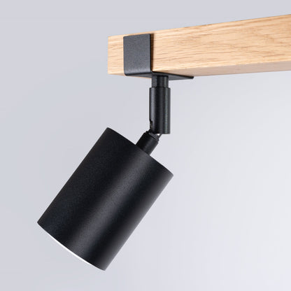 Plafondlamp FAGER 2 zwart