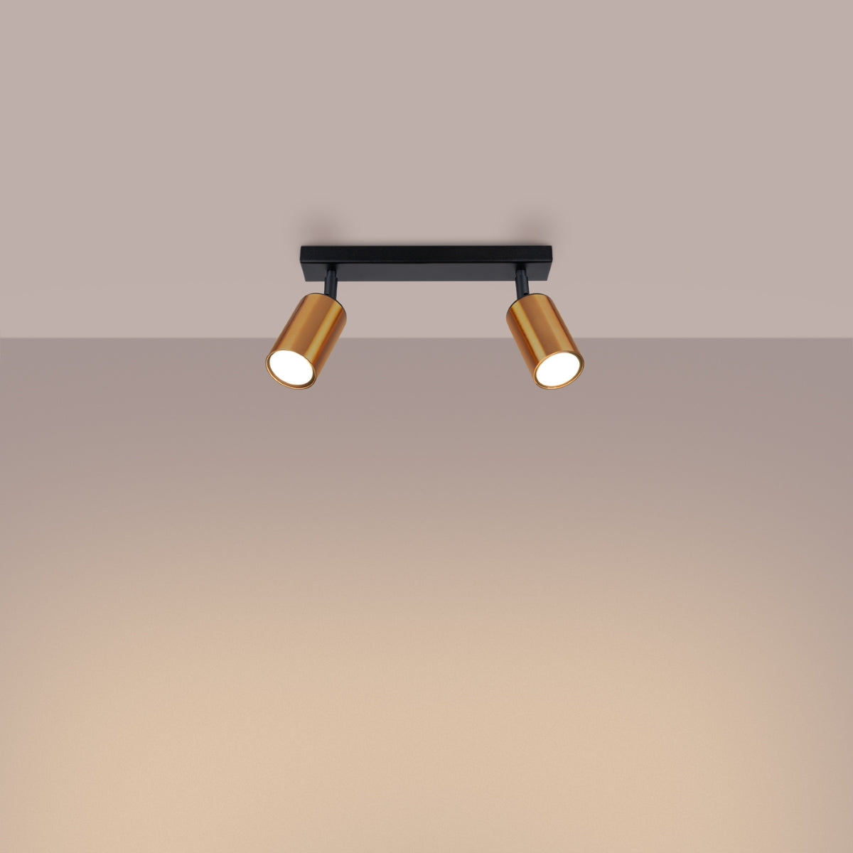 Plafondlamp WINX 2 zwart/co