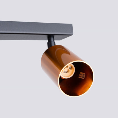 Plafondlamp WINX 2 zwart/co