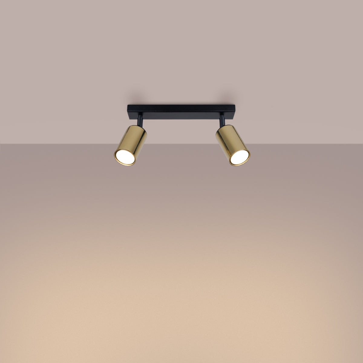 Plafondlamp WINX 2 zwart/goud