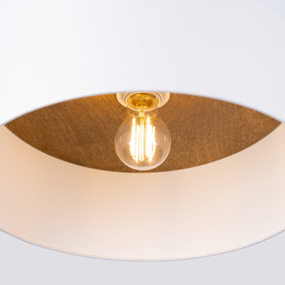 Plafondlamp TELESTO wit/lichtbruin