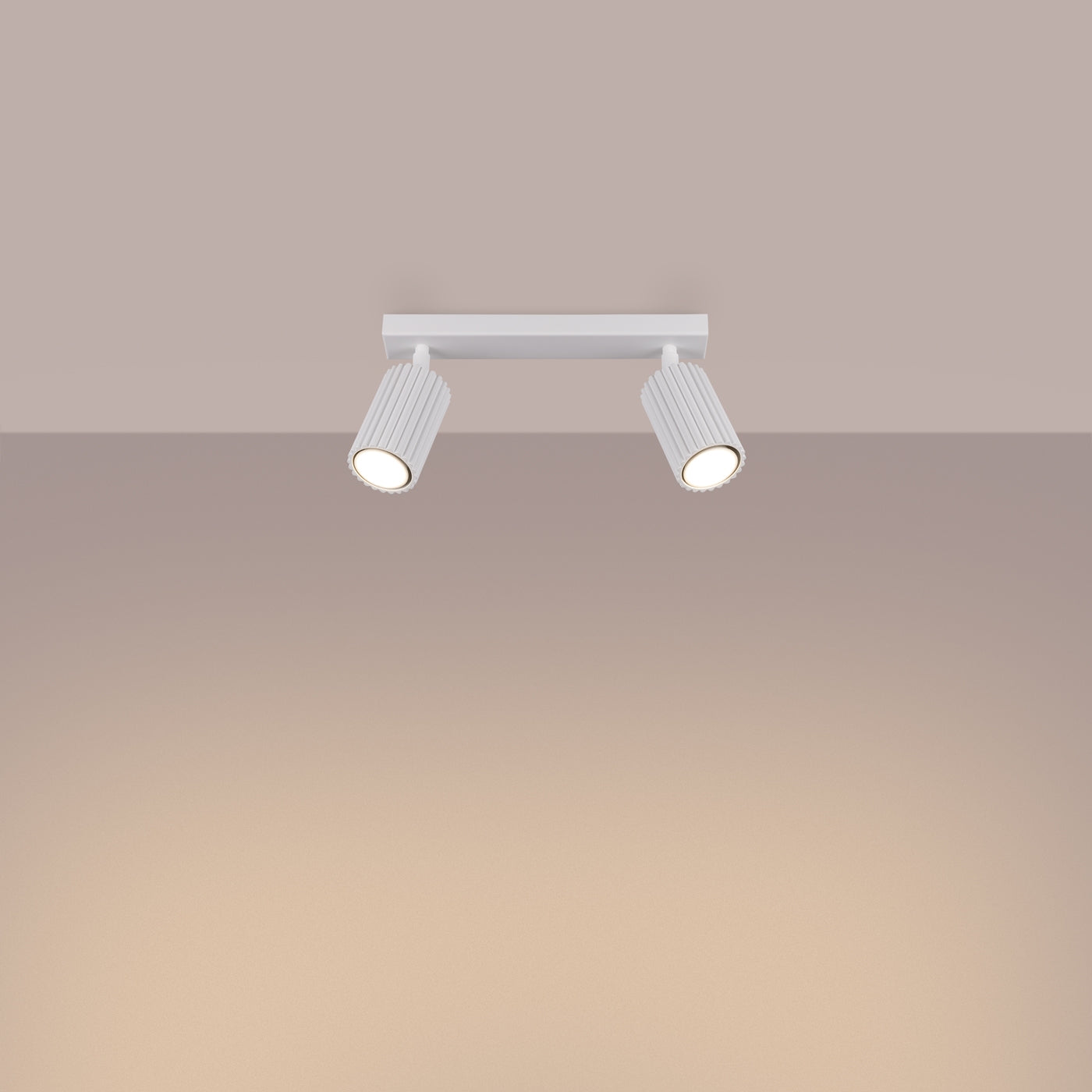 Plafondlamp KARBON 2 wit
