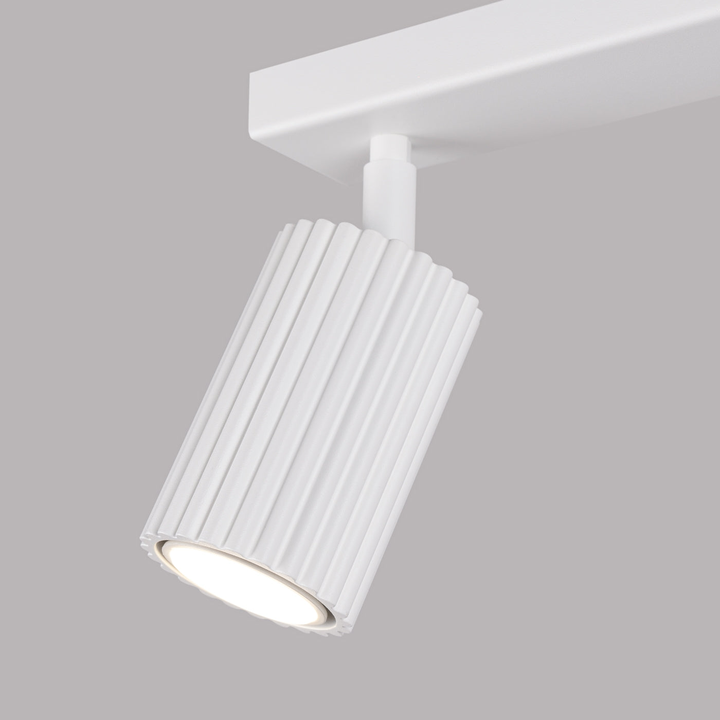 Plafondlamp KARBON 2 wit