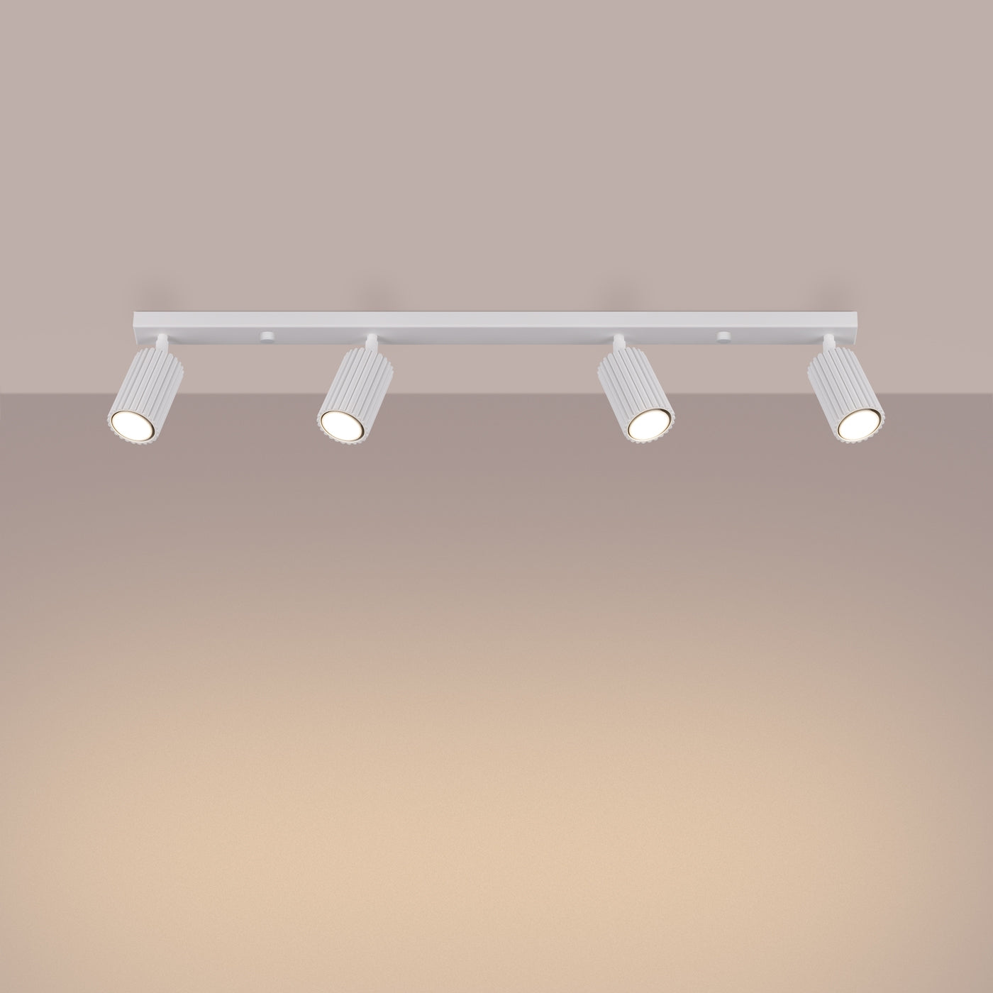 Plafondlamp KARBON 4L wit
