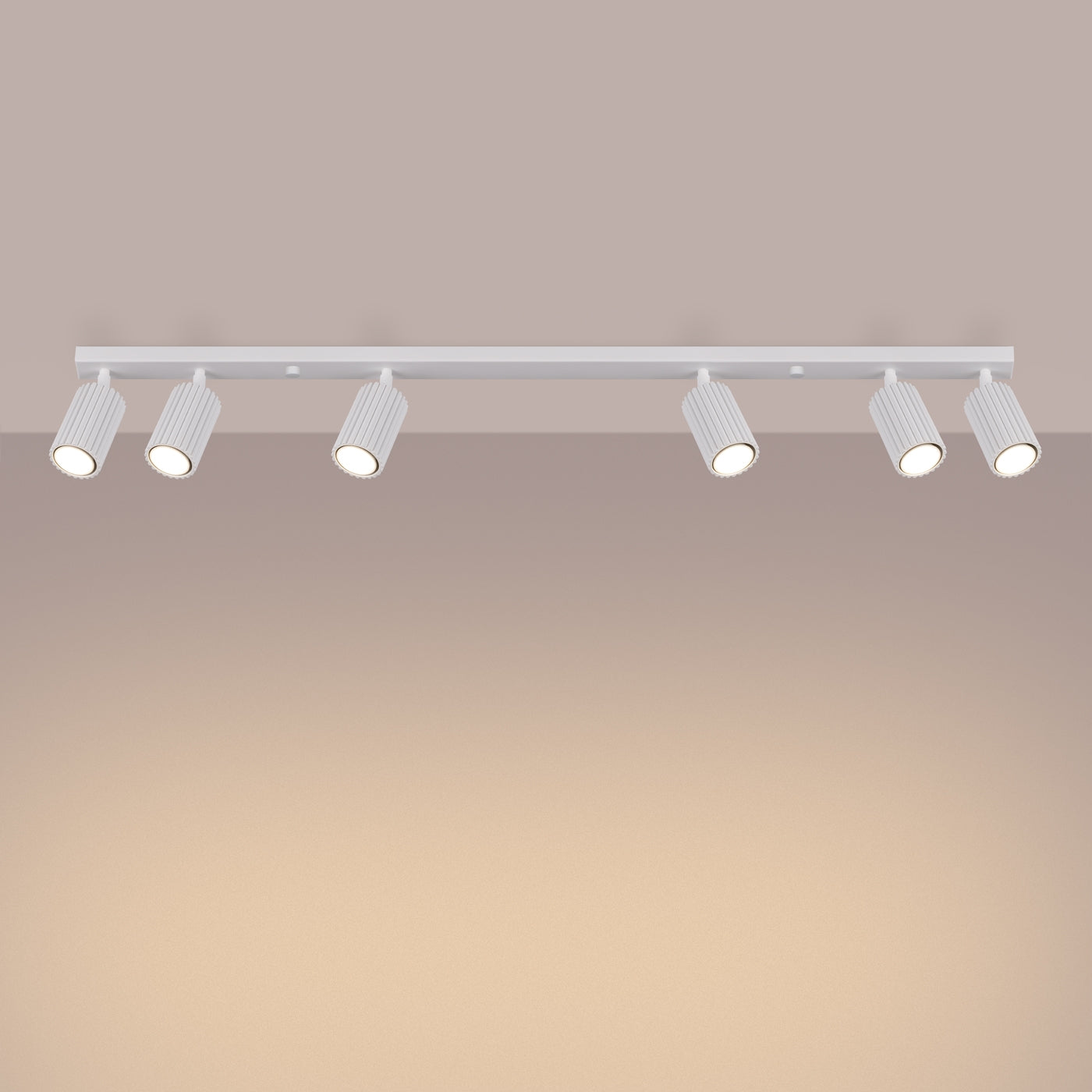 Plafondlamp KARBON 6L wit