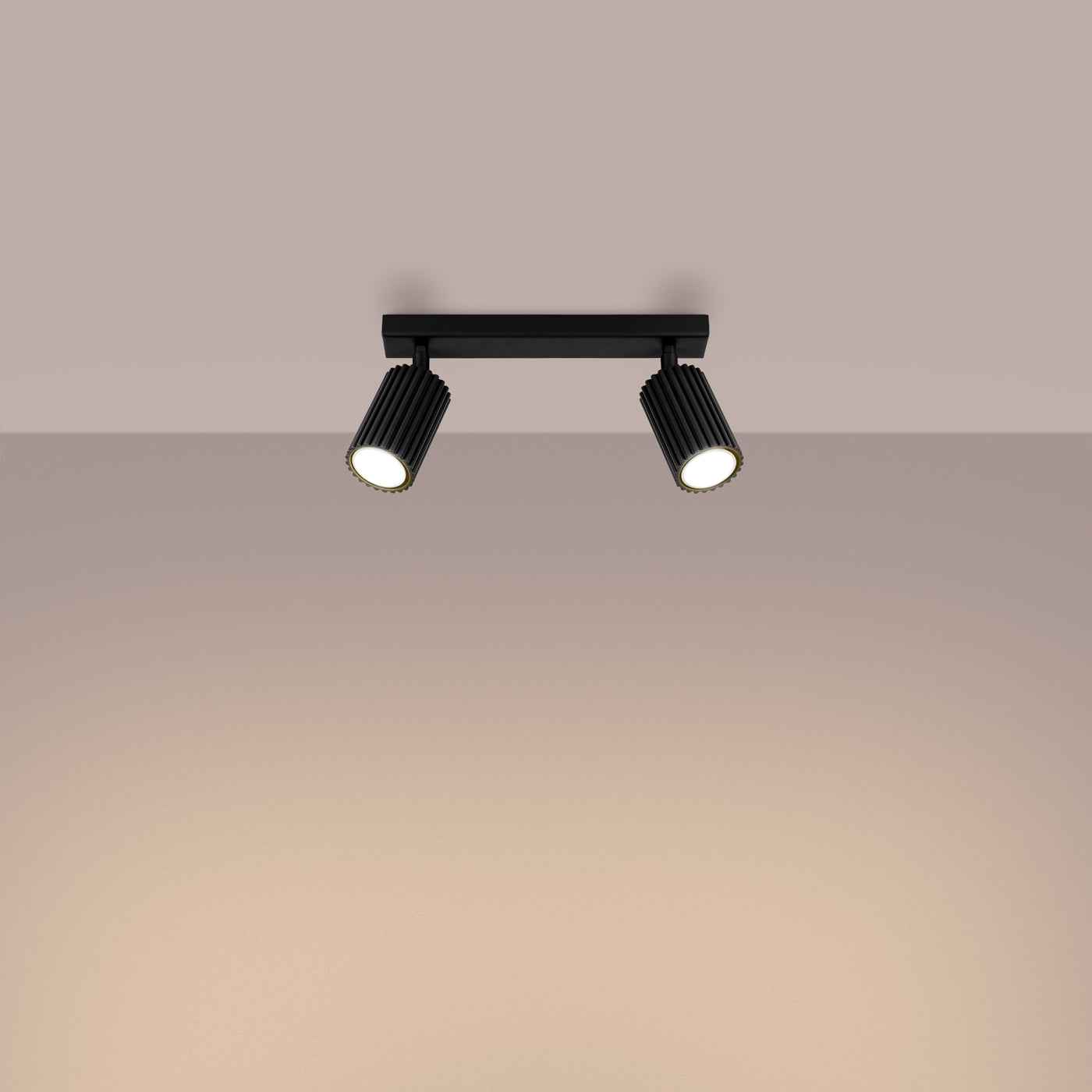 Plafondlamp KARBON 2 zwart