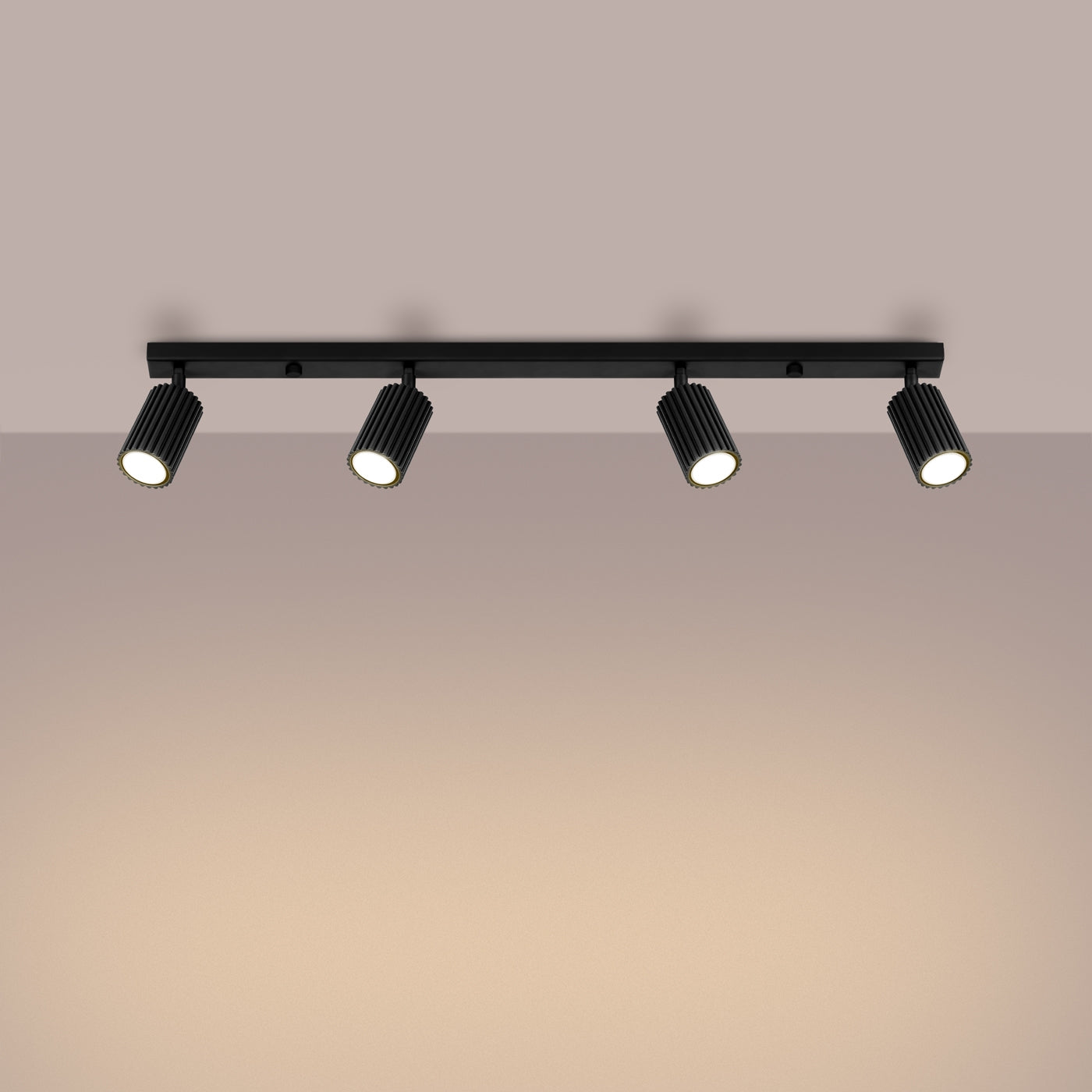 Plafondlamp KARBON 4L zwart