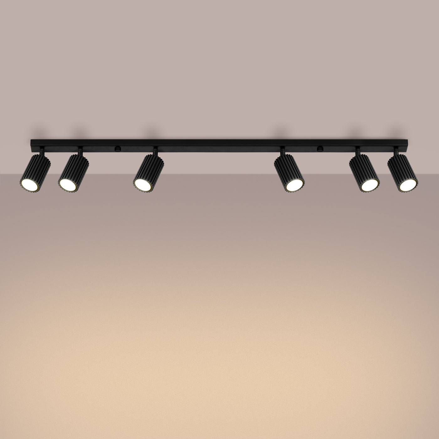 Plafondlamp KARBON 6L zwart